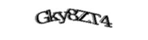 Security check image, please type the characters shown